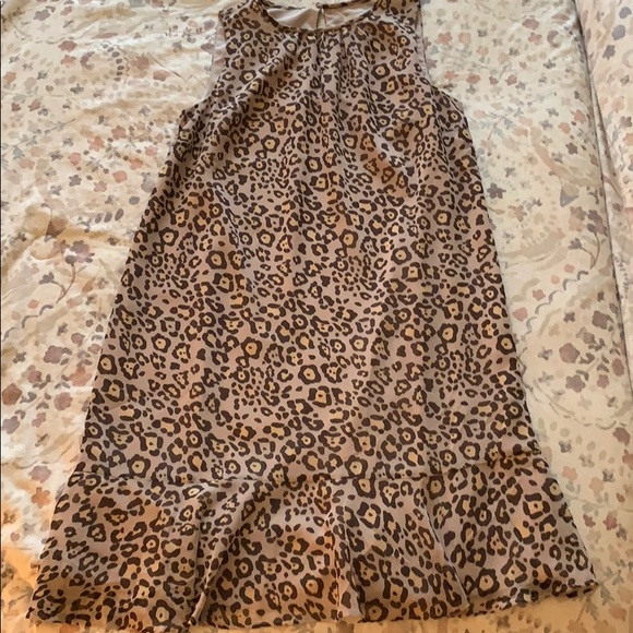 NWT Leopard Ann Taylor LOFT Dress - Picture 1 of 8